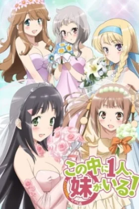 NAKAIMO - My Little Sister Is Among Them