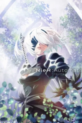 NieR Automata Ver11a
