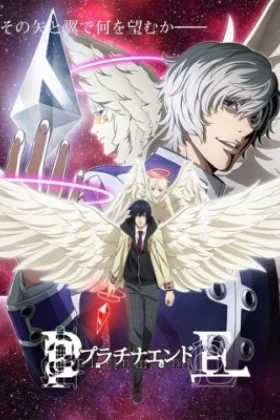 Platinum End
